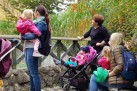 Zdjęcie przedstawia grupę kobiet i małych dzieci podczas spaceru w miejscu przypominającym park lub zoo. Na pierwszym planie po lewej znajduje się duży, bordowy wózek dziecięcy. W centrum stoi kobieta, która trzyma na rękach małe dziecko ubrane w różową kurtkę i różowe spodnie w kropki. Kobieta ma na plecach ciemny plecak. Stoją przy drewnianej balustradzie. Po prawej stronie, za balustradą, stoi kobieta w czarnej bluzce. Przed sobą ma wózek z dzieckiem. Obok nich, na ławce, siedzi inna kobieta w jasnej kurtce i niebieskim plecaku, na kolanach trzyma dziecko. Tło stanowią bujne, zielone i żółknące krzewy oraz drzewa.