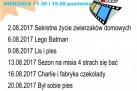 Plakat zapowiada cykl „Bajki Animowane” w sierpniu 2017, organizowany przez Suwalski Ośrodek Kultury. Seanse odbywały się w środy o 11:30 i w niedziele o 11:30 oraz 15:00.  Plakat jest kolorowy i wakacyjny – dominują niebieski, żółty i pomarańczowy kolor. W tle są plażowe motywy (fale, piasek), a całość uzupełniają grafiki filmowej taśmy i kliszy. Plakat informuje, że organizatorem wydarzenia jest Strzelecki Ośrodek Kultury (SOK) – jego logo widnieje w dolnej części grafiki obok kolorowych fal i motywów wakacyjnych.