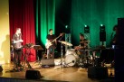 Na zdjęciu muzycy podczas swojego występu. W tle lampy oświetlające scenę na kolor zielony. 