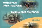 Plakat przedstawiał wyjazd organizowany przez Strzelecki Ośrodek Kultury do Gliwic – Europa Centralna w ramach akcji LATO, który odbył się 2 sierpnia o godzinie 8:45 z dworca PKS. W programie znalazła się wizyta w House of Air (Park Trampolin), Galerii Figur Stalowych oraz czas wolny w restauracji McDonald’s, a koszt uczestnictwa wynosił 40 zł (posiłek we własnym zakresie). Grafika była kolorowa i wakacyjna, wzbogacona zdjęciami atrakcji, które czekały na uczestników. Na górze plakatu znajduje się informacja o organizatorze wraz z logotypem - Strzelecki Ośrodek Kultury. 