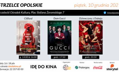 Grafika promująca akcję IDĘ DO KINA. Przedstawione są również filmy jakie miały być puszczane podczas wydarzenia. 