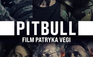 Plakat dotyczący seansu ,,Pitbull
