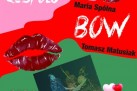 Plakat dotyczący koncertu walentynkowego w wykonaniu zespołu BOW. 