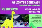 To kolorowy plakat informacyjny Strzeleckiego Ośrodka Kultury w ramach Lata z SOKiem. Reklamuje warsztaty edukacyjne na leśnych ścieżkach w Nadleśnictwie Zawadzkie, zaplanowane na 25 sierpnia 2020. Wyjazd odbywa się o godz. 8:30 z dworca PKS. Przedstawiony jest program wyjazdu.  Koszt wyjazdu to 8 zł (obejmuje posiłek i upominek). Grafika jest bardzo kolorowa – dominują fiolet, zieleń i błękit. Na plakacie widzimy rysunkowe dinozaury oraz zdjęcie grupy uczestników przed leśnym budynkiem. 