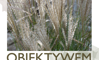 Plakat dotyczący wernisażu wystawy Aliny Matusz pt. ,,Obiektywem malowane'. 