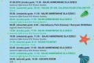 Plakat przedstawia program wakacyjny SOK na sierpień 2018. Organizatorem jest Strzelecki Ośrodek Kultury. Podano również informację, że szczegóły można było znaleźć na plakatach, a zapisy i płatności można było dokonywać w kasie SOK-u.