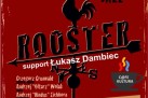 Plakat promujący koncert zespołu Rooster. 