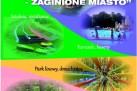 Plakat informował o wyjeździe do Interaktywnego Parku Rozrywki i Edukacji „Rosenau – Zaginione Miasto”, organizowanym przez Strzelecki Ośrodek Kultury w ramach akcji LATO. Wyjazd odbył się 9 sierpnia o godzinie 8:00 z dworca PKS, a koszt uczestnictwa wynosił 45 zł (w cenie posiłek – frytki i nuggetsy). Plakat ma kolorową, wakacyjną szatę graficzną z logo akcji „Lato z SOK”, a dodatkowo zdobiły go zdjęcia atrakcji parku. Na górze plakatu znajduje się logo organizatora - Strzelecki Ośrodek Kultury. 