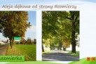 Slajd przedstawiający zdjęcia alei dębowej w Rozmierce od strony Rozmierzy.